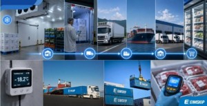 Hàn Quốc đổ vốn chính sách vào Long Thành, giải cơn khát kho lạnh logistics phía Nam