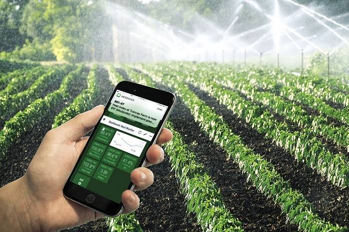 Đào tạo 750.000 lao động nông nghiệp: Việt Nam tăng tốc hình thành lực lượng “nông dân số”