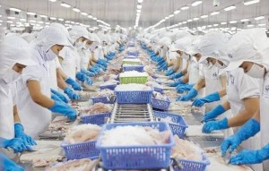 Đà Nẵng hỗ trợ doanh nghiệp nâng cao năng suất, chất lượng sản phẩm giai đoạn 2026-2030