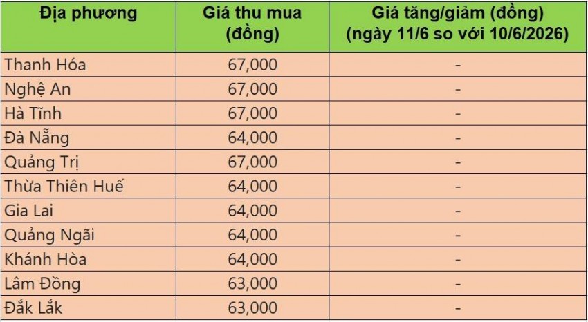 Bảng giá heo hơi tại miền Trung - Tây Nguyên hôm nay 11/6/2026