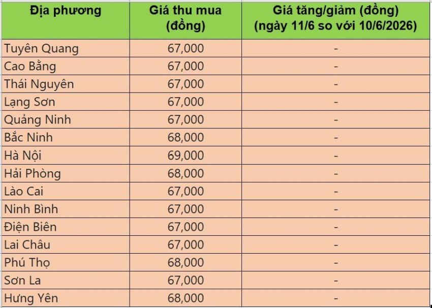 Bảng giá heo hơi tại miền Bắc hôm nay 11/6/2026