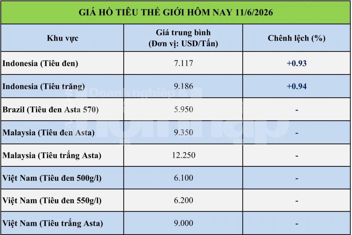 Giá tiêu hôm nay 11/6/2026: