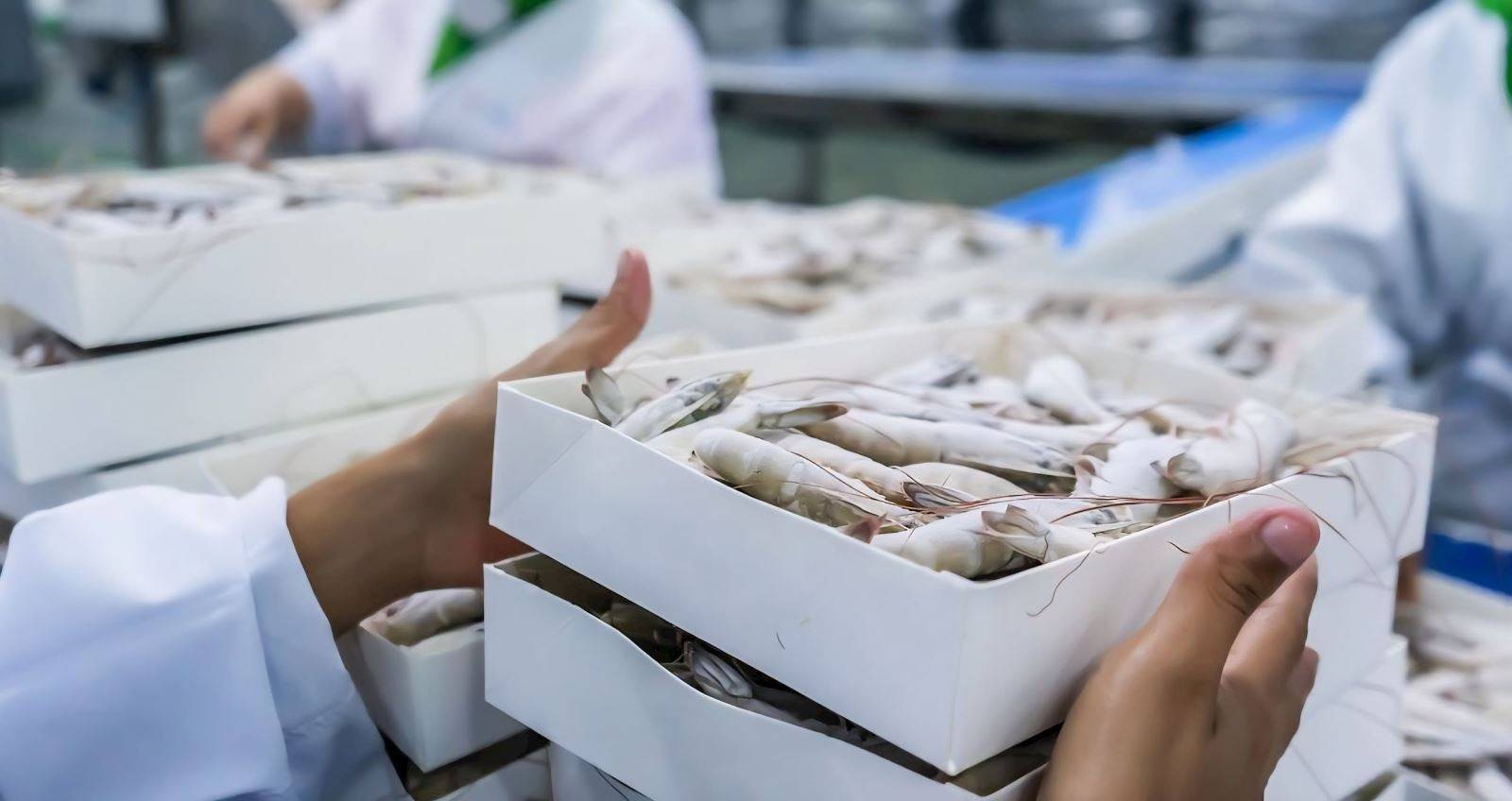 VASEP: Tôm và cá tra tiếp tục là động lực tăng trưởng xuất khẩu thủy sản