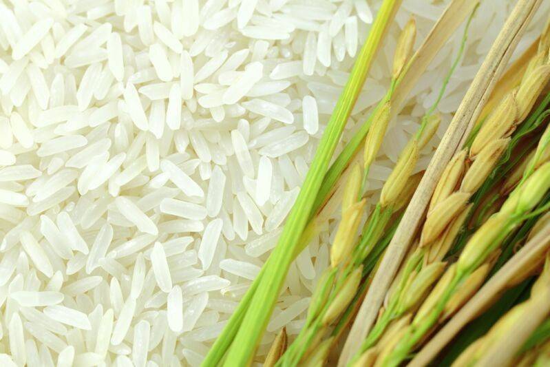 Chi phí đầu vào leo thang, giá lúa suy giảm: Áp lực kép phủ bóng lên nông nghiệp và bài toán điều hành ở Thái Lan