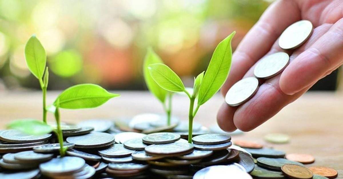 Tài chính xanh tăng trưởng, ngân hàng dẫn dắt nền kinh tế bền vững