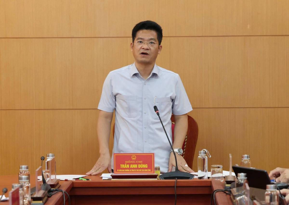 Phó Chủ tịch UBND tỉnh Trần Anh Dũng phát biểu kết luận hội nghị