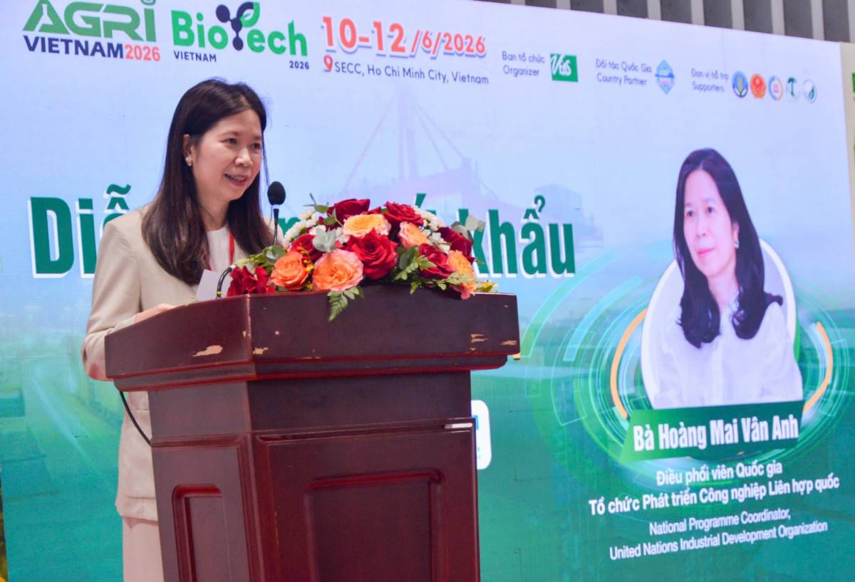 bà Hoàng Mai Vân Anh, Điều phối viên Quốc gia UNIDO tại Việt Nam, 