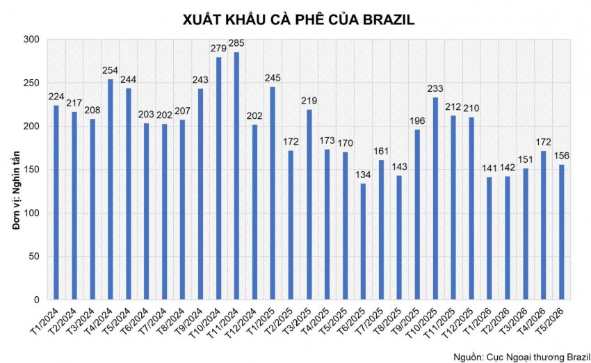 Cà phê toàn cầu: Nghịch lý tồn kho thấp và kỳ vọng về một vụ mùa kỷ lục từ Brazil