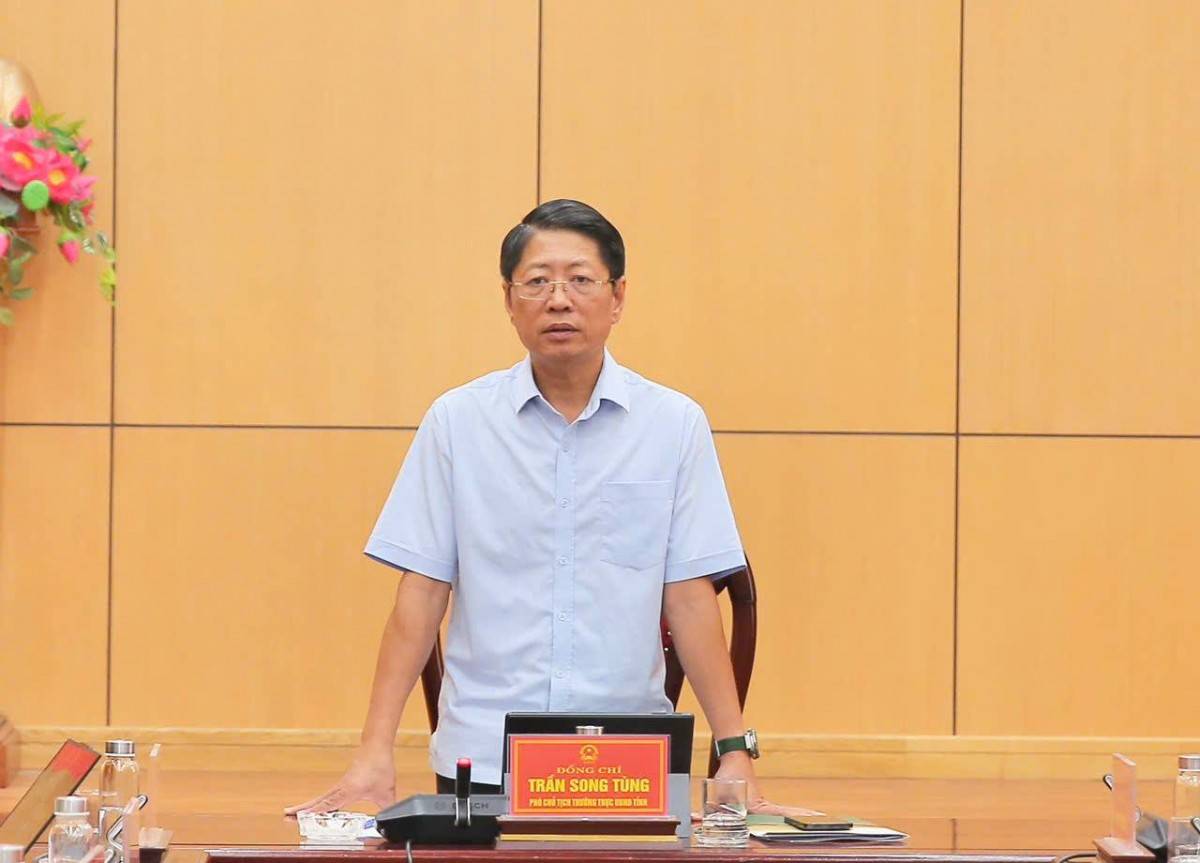Phó Chủ tịch Thường trực UBND tỉnh Ninh Bình Trần Song Tùng phát biểu chỉ đạo tại hội nghị