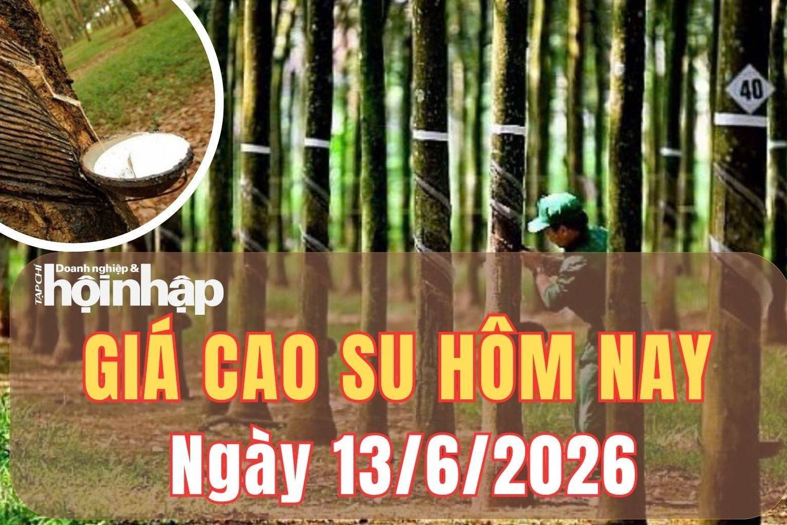 Giá cao su hôm nay 13/6/2026: Giá cao su thế giới tăng nhờ lo ngại nguồn cung