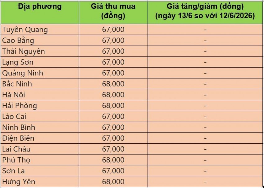 giá heo hơi