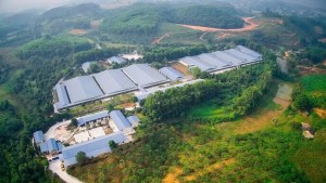 Phú Thọ: Phạt gần 500 triệu đồng doanh nghiệp xả thải trái phép