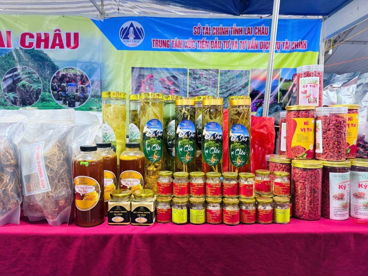 Hơn 200 gian hàng làm nóng Hội chợ OCOP Điện Biên 2026