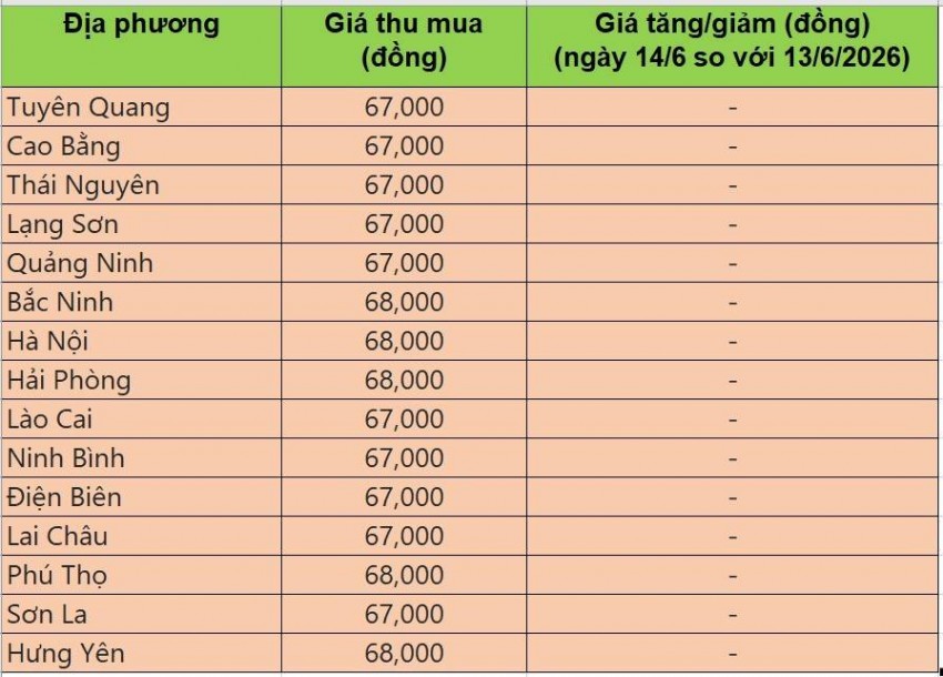 Bảng giá heo hơi tại miền Bắc hôm nay 14/6/2026