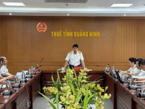 Thuế tỉnh Quảng Ninh đồng hành thúc đẩy phát triển kinh tế tư nhân