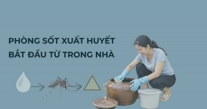 Sốt xuất huyết gia tăng: chủ động phòng bệnh từ mỗi gia đình