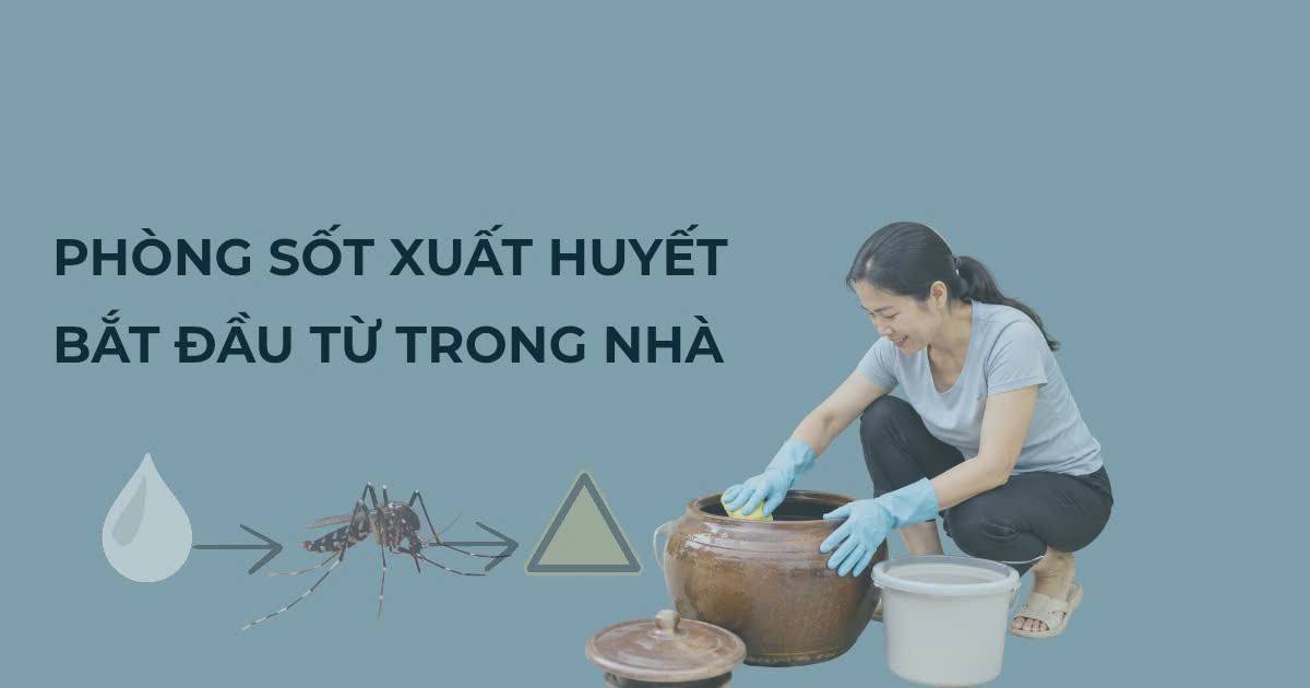 Sốt xuất huyết gia tăng: chủ động phòng bệnh từ mỗi gia đình