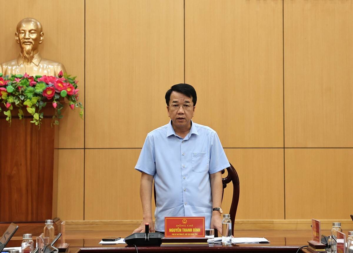 Nguyễn Thanh Bình, Phó Bí thư Tỉnh ủy, Chủ tịch UBND tỉnh phát biểu kết luận hội nghị