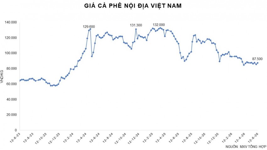 Cà phê lập đỉnh mới: Sức ép cung và sóng đầu tư