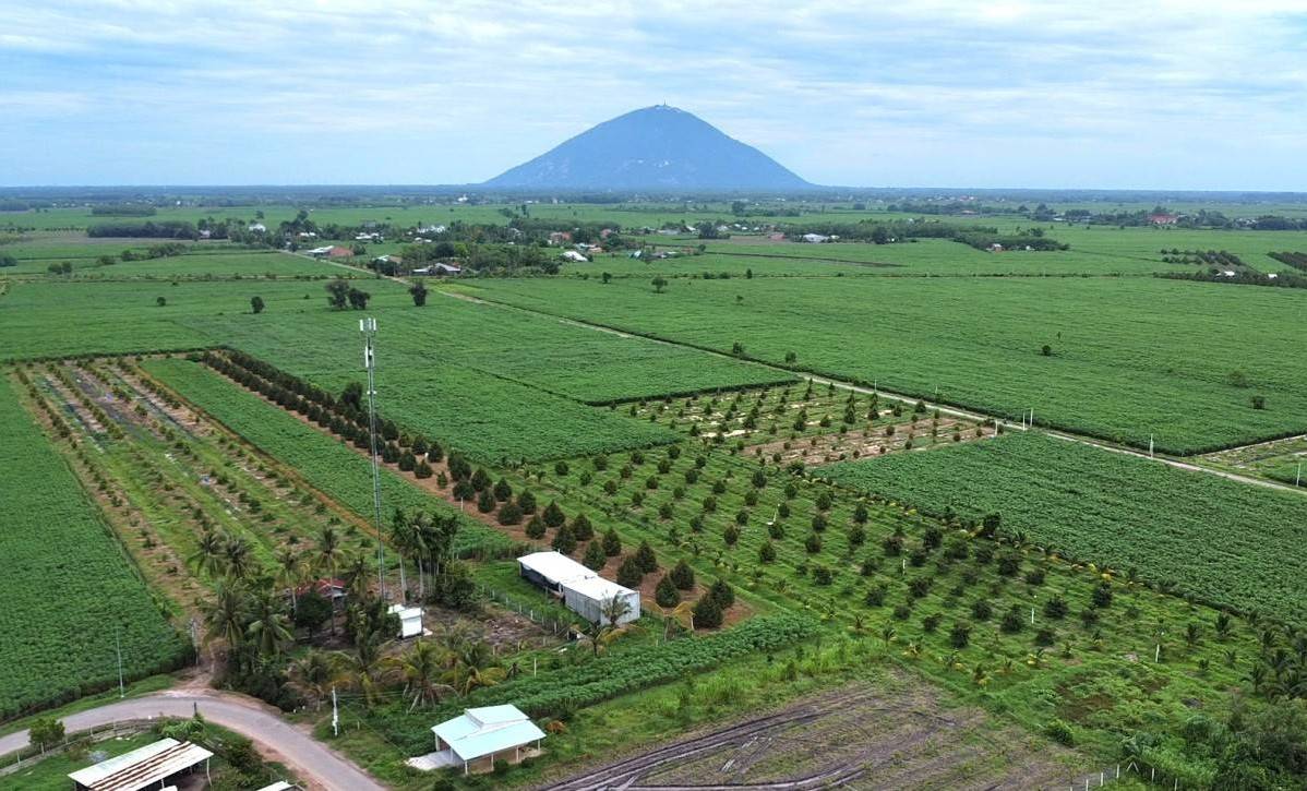 Tây Ninh thúc đẩy nông nghiệp xanh bằng hàng loạt quyết định đất đai mới