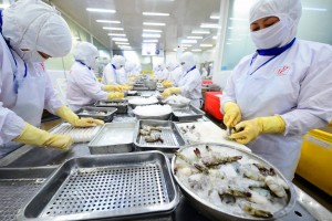 Đài Loan (Trung Quốc) mở rộng danh sách doanh nghiệp thủy sản Việt Nam đủ điều kiện xuất khẩu