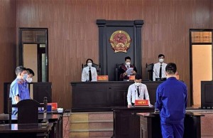 Đề xuất loạt chính sách đặc thù, giảm án chung thân xuống 15 năm cho tội phạm đất đai