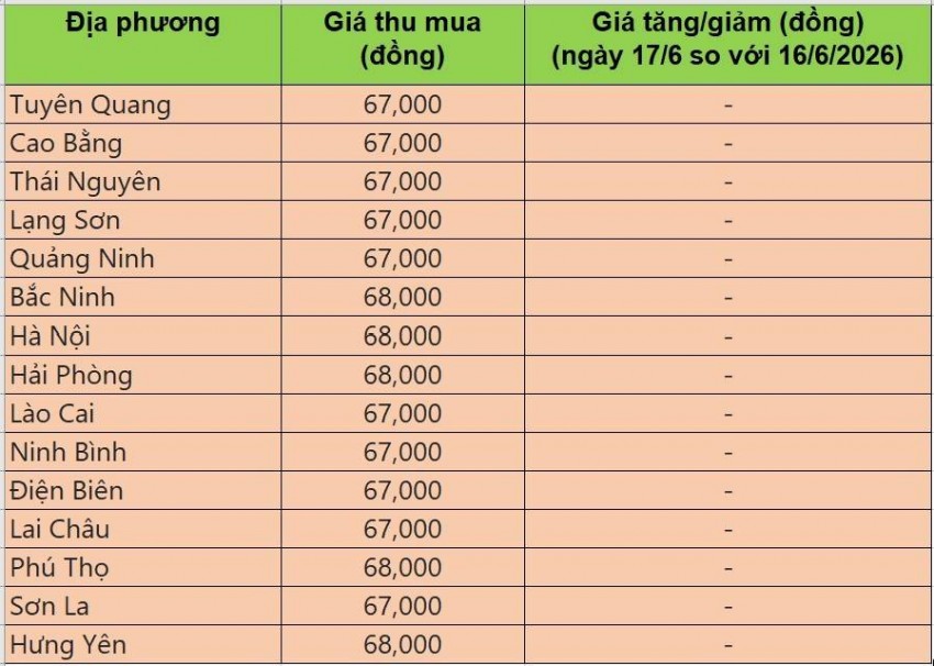 giá heo hơi