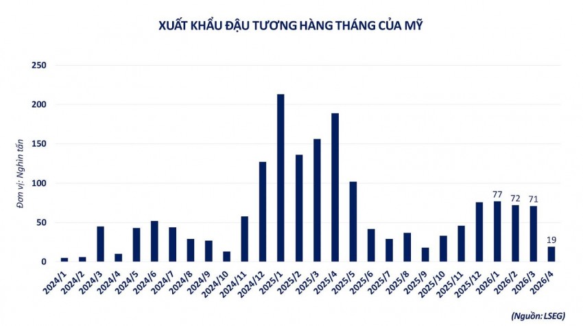 Đậu tương tìm lại đà tăng nhờ tín hiệu từ thị trường
