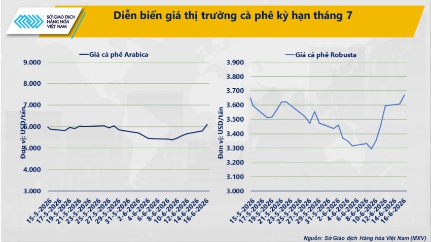 Thời tiết bất lợi, giá cà phê thế giới liên tiếp tăng