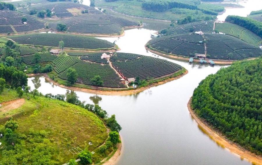 Nghệ An chấm dứt các hoạt động Dự án Khu du lịch, dịch vụ hỗn hợp và nghỉ dưỡng Cầu Cau hơn 1.500 tỷ đồng ở xã Hoa Quân của Công ty CP Tập đoàn CIENCO4.