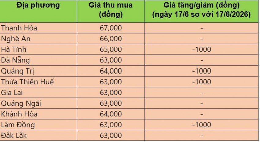 Bảng giá heo hơi tại miền Trung - Tây Nguyên hôm nay 18/6/2026