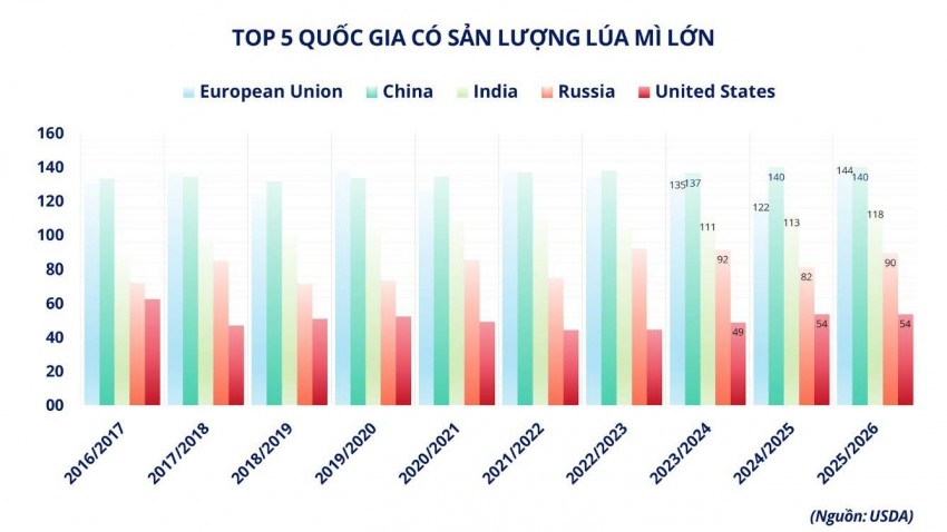 Lúa mì thế giới phục hồi: Điểm tựa từ nguồn cung và dòng tiền đầu tư