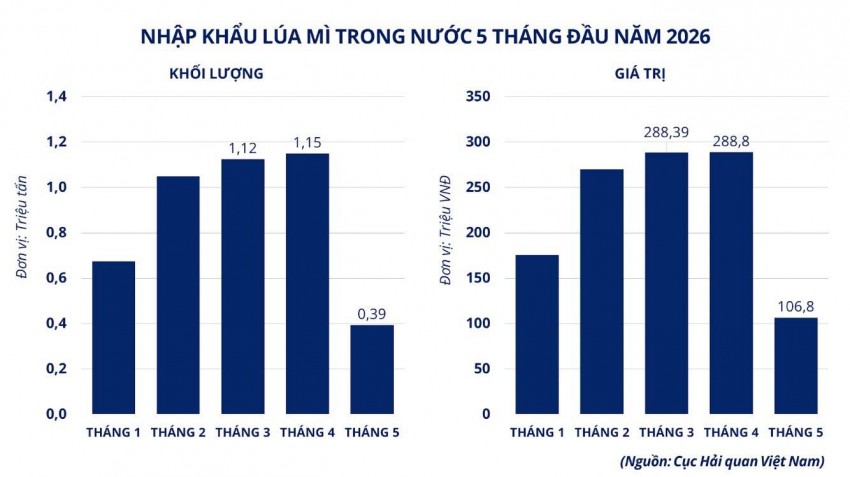Lúa mì thế giới phục hồi: Điểm tựa từ nguồn cung và dòng tiền đầu tư
