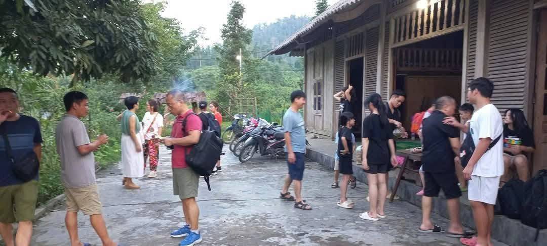 Từ cây thuốc trong rừng đến sinh kế dưới tán rừng: Nà Hẩu đánh thức giá trị bản địa