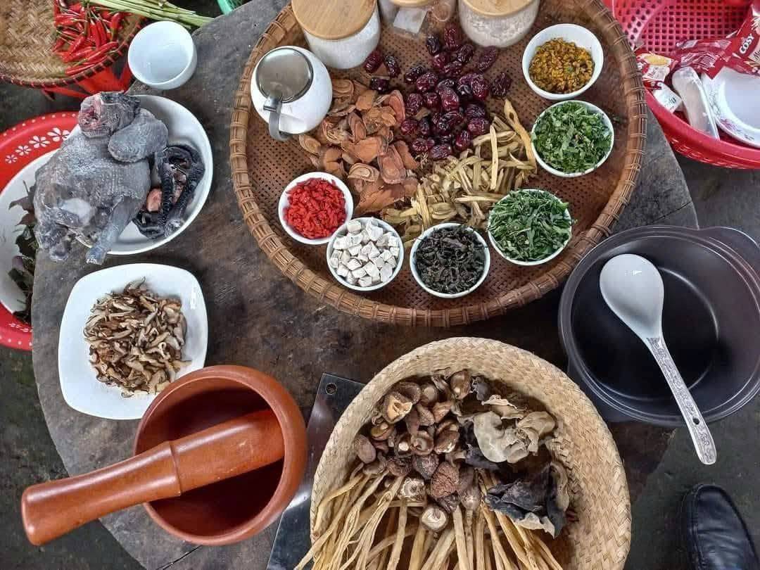 Từ cây thuốc trong rừng đến sinh kế dưới tán rừng: Nà Hẩu đánh thức giá trị bản địa