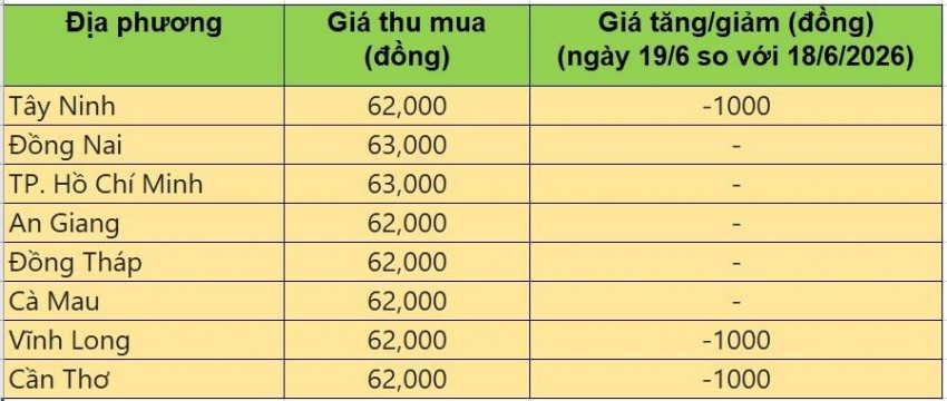 giá heo hơi