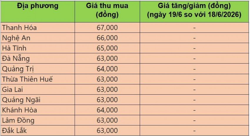 giá heo hơi