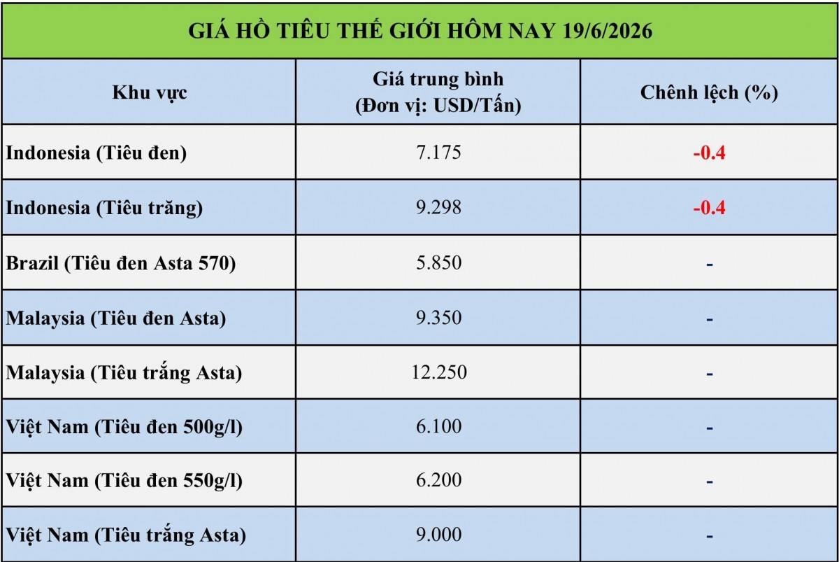 Giá tiêu hôm nay 19/6/2026: