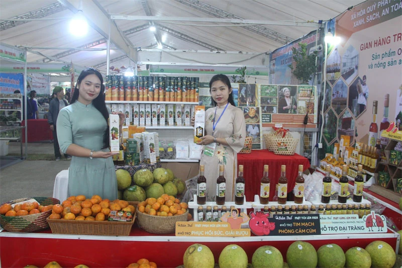 Văn phòng Điều phố Nông thôn mới Thanh Hóa, nơi “chắp cánh” cho sản phẩm Ocop vươn xa