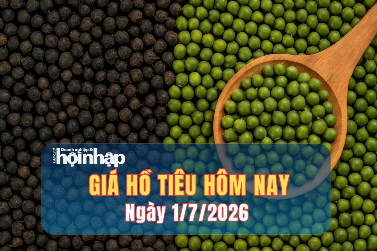Giá tiêu hôm nay 30/6/2026: Thị trường thế giới ảm đạm, giá nội địa đi ngang
