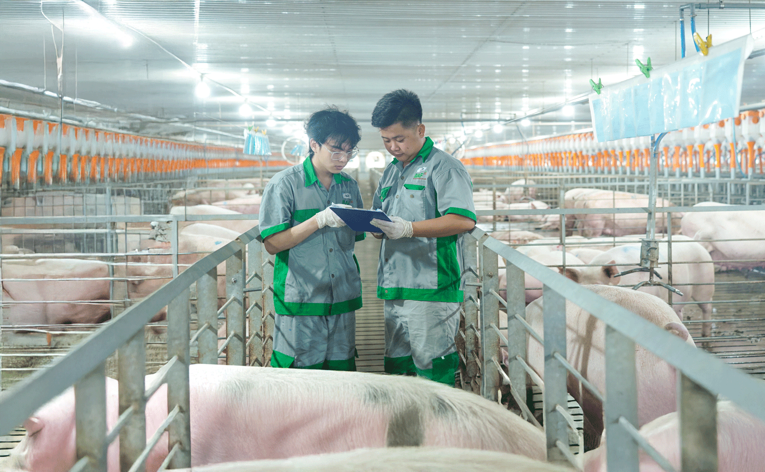 Nông nghiệp BAF rót 810 tỷ đồng mở rộng hệ sinh thái chăn nuôi – chế biến thực phẩm tại Hà Nội