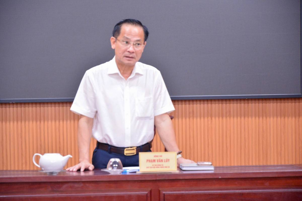 Phạm Văn Lũy, Bí thư Đảng ủy, Chủ tịch HĐND xã Bình Hưng,