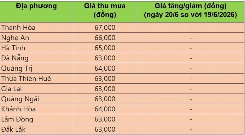 Bảng giá heo hơi tại miền Trung - Tây Nguyên hôm nay 20/6/2026