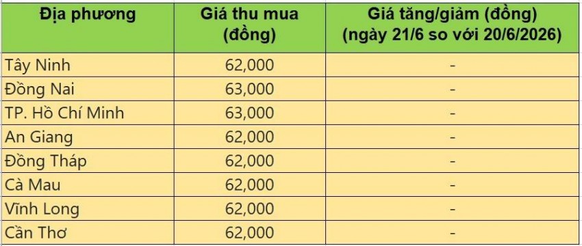 giá heo hơi