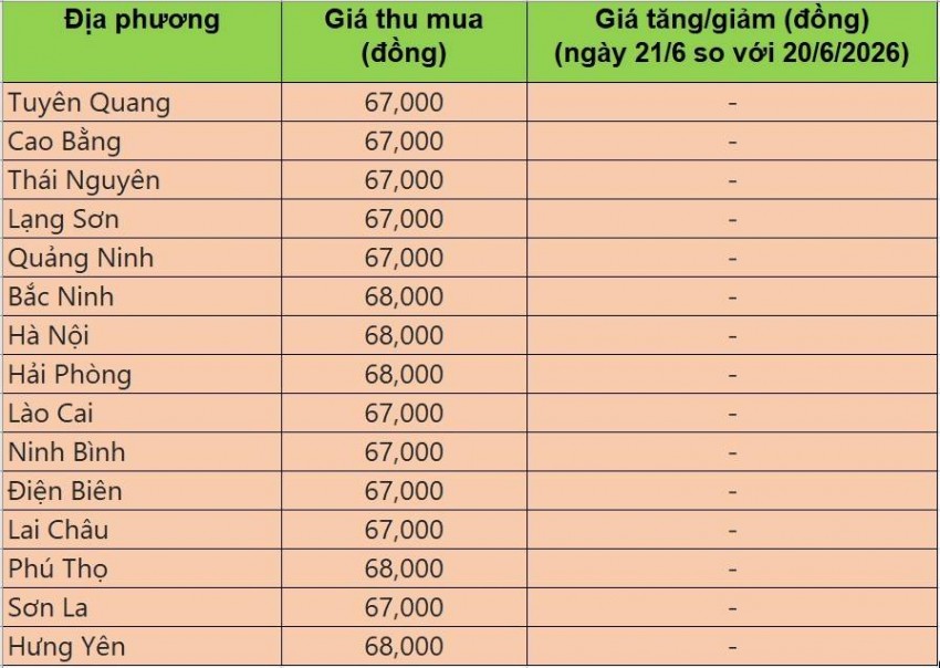 giá heo hơi