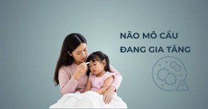 Não mô cầu gia tăng: Những điều cần biết để phòng bệnh hiệu quả