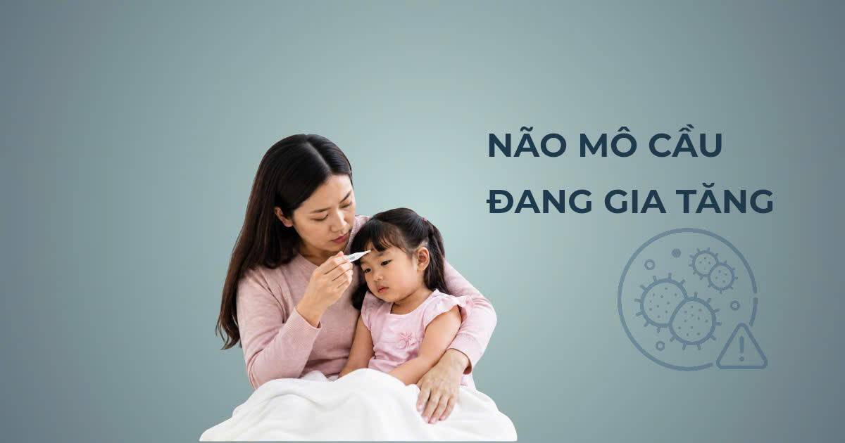 Não mô cầu gia tăng: Những điều cần biết để phòng bệnh hiệu quả