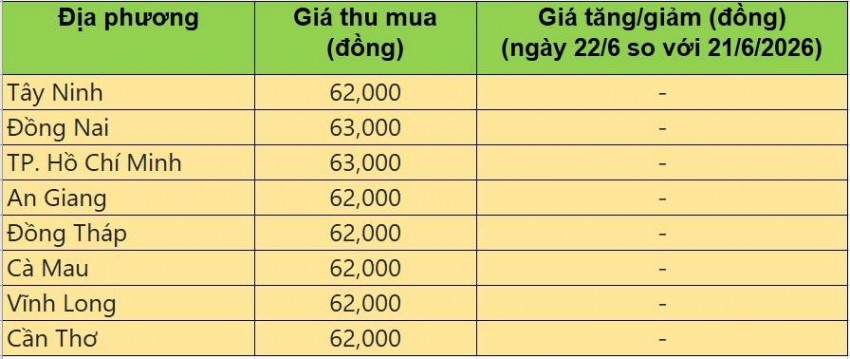 Bảng giá heo hơi tại miền Nam hôm nay 22/6/2026