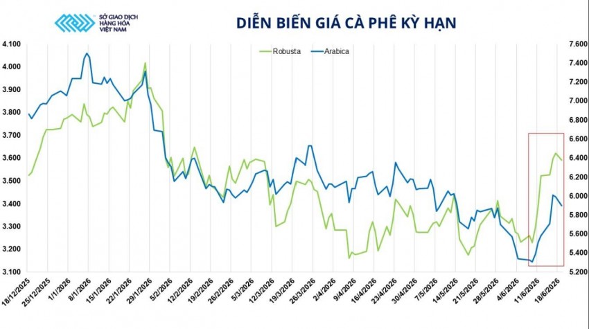 Dòng tiền tập trung vào cà phê trước những lo ngại về nguồn cung