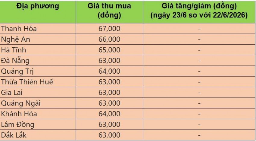 giá heo hơi